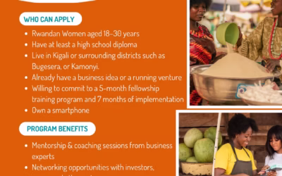 SheCreates Fellowship – Call for Applications